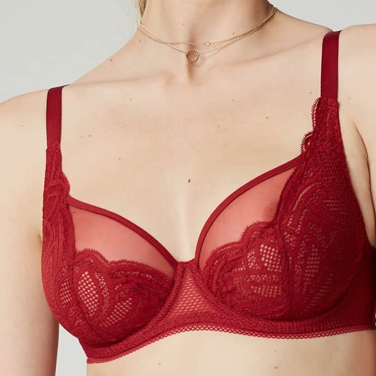 レジャビーのインスタグラム：「Esthétique... ? Confort... ? Ce sera les deux —— Aesthetic... ? Comfort... ? We choose both  #grace #maisonlejaby #zoom #dentelle #resille #details #rouge #lace #frenchlingerie」