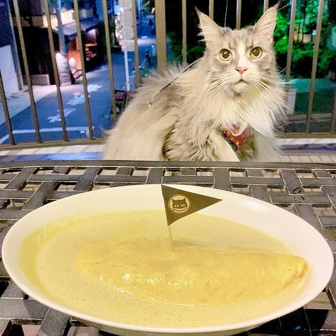 相沢あいのグルメインスタ