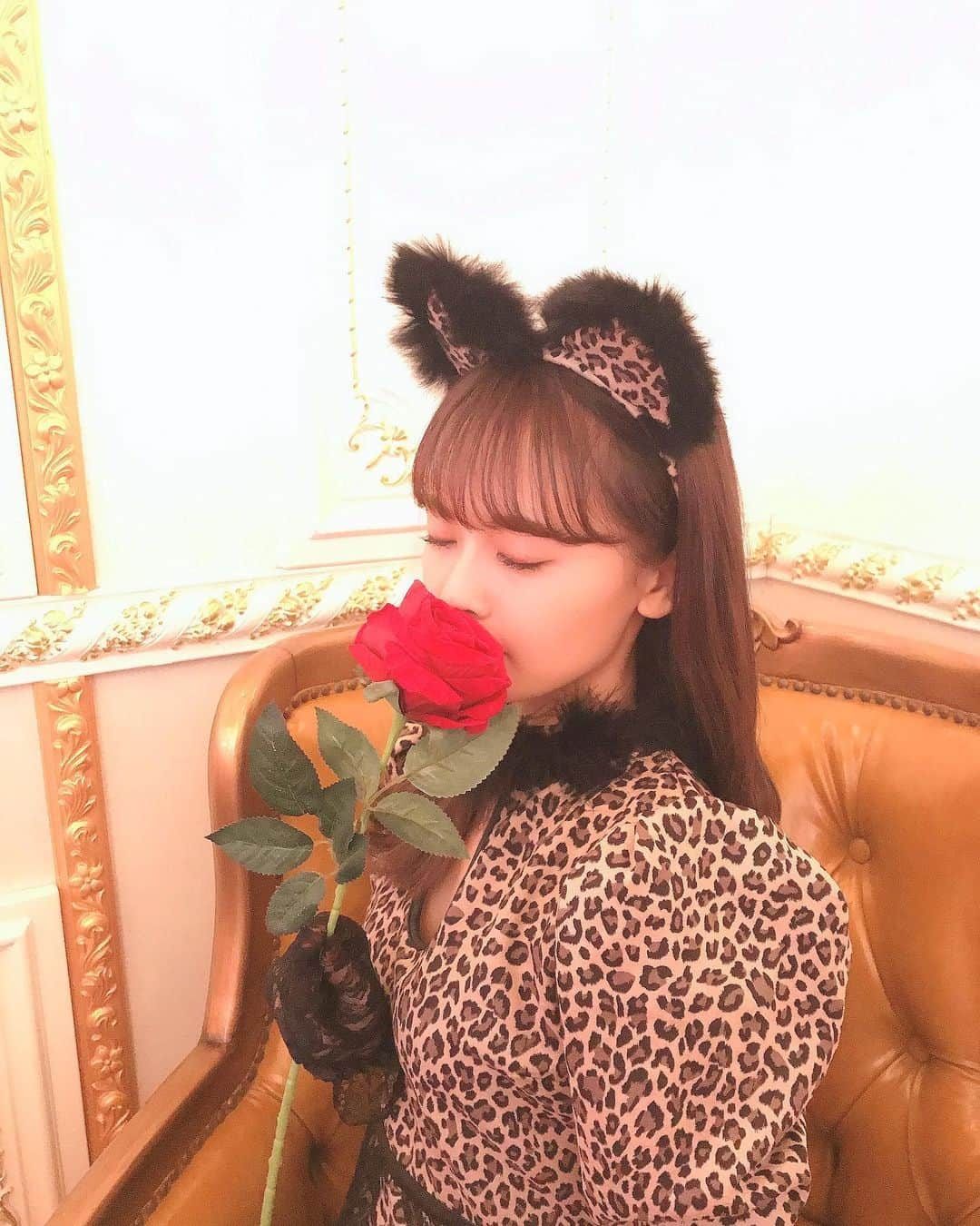 湯本亜美さんのインスタグラム写真 - (湯本亜美Instagram)「ㅤㅤㅤ そういえばトプ画変えました👸🏻🌙 猫ちゃん〜」4月15日 20時40分 - amiyumoto_official