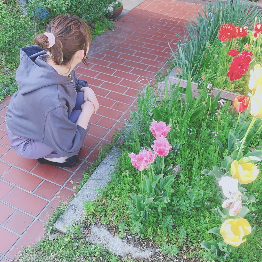 夏川愛実のインスタグラム：「﻿ お庭で日向ぼっこならぬ﻿ 日陰ぼっこ、、、🐥﻿ ﻿ ﻿ #おうちコーデ#パーカーコーデ#おうち時間﻿#ラフコーデ #niceclaup#ナイスクラップ#gu#guコーデ #ヘアアレンジ#お団子アレンジ#ボブアレンジ﻿ #チューリップ#お庭のある暮らし」