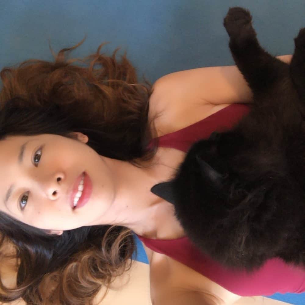 おーせさんのインスタグラム写真 - (おーせInstagram)「なぜ猫はこんなにもヨガマットが好きなのだ？？？笑笑 ⠀ #箱入り猫⠀ #ぶたくん#猫だけど名前はぶたくん #長毛猫#longhairblackcat #多頭飼い #黒猫 #にゃんすたぐらむ #cat #catstgram #Blackcat #猫 #猫のいる生活 #猫好きさんと繋がりたい」4月15日 21時09分 - oosedon