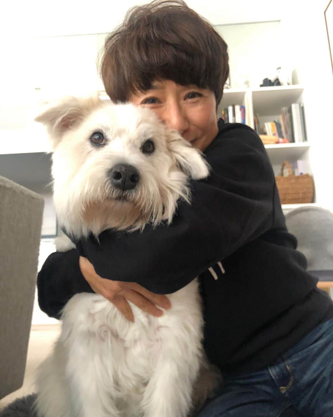 黒田知永子さんのインスタグラム写真 - (黒田知永子Instagram)「ストーリーズに載せる写真を撮って貰ったら、、、 やる気のないとろがいた。  やる気のない顔もまた可愛い。なんでも可愛いということで。  同じ写真の投稿を削除しました。コメント下さった方ごめんなさい。写真が変になっていたので。  #dog#犬#いぬ #ごまとろむぎ  #黒田とろろ  #黒田知永子  #chiekokuroda」4月15日 21時44分 - kuroda_chieko