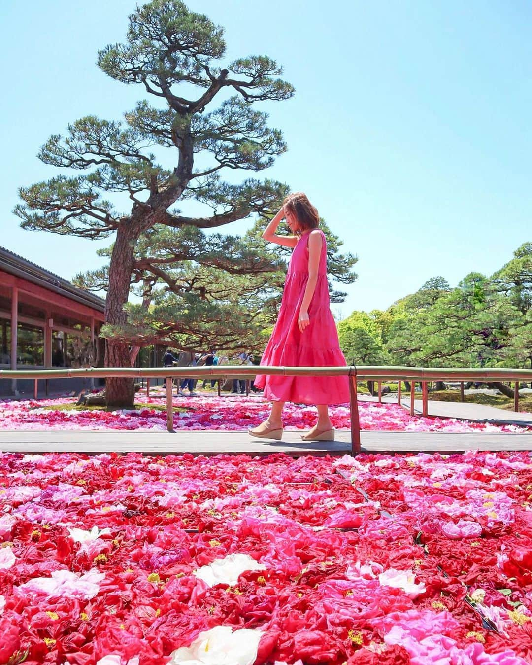 三井菜那さんのインスタグラム写真 - (三井菜那Instagram)「ふるさと納税で旅の体験ができるサービス「さといこ」🌾 @satoiko_roots  ㅤㅤㅤㅤㅤㅤㅤㅤㅤㅤㅤㅤㅤ  ふるさと納税で180日前までのお出かけが事前予約できるよ🐕 お宿はもちろん その地域だけでしかできない特別な体験ができるから、 またわたしもいつか体験しにいけますように🌸  ㅤㅤㅤㅤㅤㅤㅤㅤㅤㅤㅤㅤㅤ  現在さといこでは、 おうちにいながら 地域の魅力を感じられる『おうち体験』というサービスがはじまったんだって🧡 全国の地方自治体や地域の方々と繋がれるそうなので ぜひチェックしてみてね📲  ㅤㅤㅤㅤㅤㅤㅤㅤㅤㅤㅤㅤㅤ  #さといこ #さといこアンバサダー  #ふるさと納税で日本中を旅しよう  #ふるさと納税  #ROOTs  #島根#由志園#おうち時間#おうち体験」4月15日 21時53分 - nana.0312