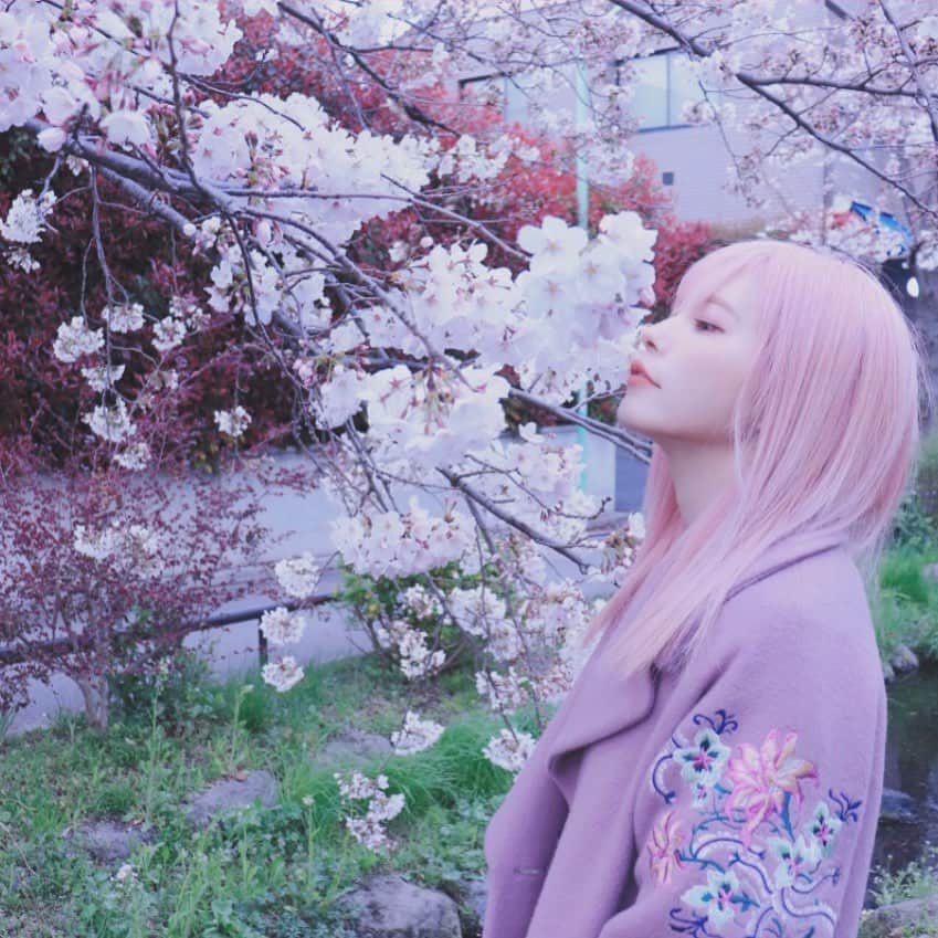 益若つばささんのインスタグラム写真 - (益若つばさInstagram)「今年も桜の季節が終わったねぇ。﻿ ﻿ また来年🌸☺️﻿ ﻿ 写真は去年の🌸🌸🥺﻿ピンクまみれ🌸🌸🌸🌸 #spring #sakura #pink」4月15日 22時28分 - tsubasamasuwaka1013