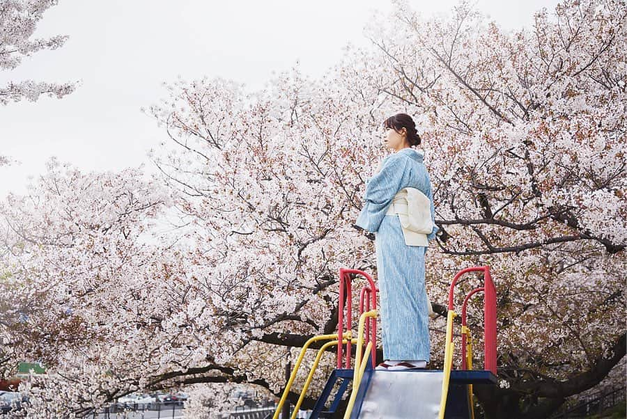 Najiiのインスタグラム：「Bloom - - - #instagramjapan #canonglobal #teamcanon #tokyocameraclub #東京カメラ部 #mycanon #canonasia #spring #photo_shorttrip #lovers_nippon #pics_jp #visitjapanjp #unknownjapan #bloom #sakura #桜 #サクラ#eos #my_eos_photo  #kyoto #京 #京都 #japan #portrait #portraits #good_portraits_world」