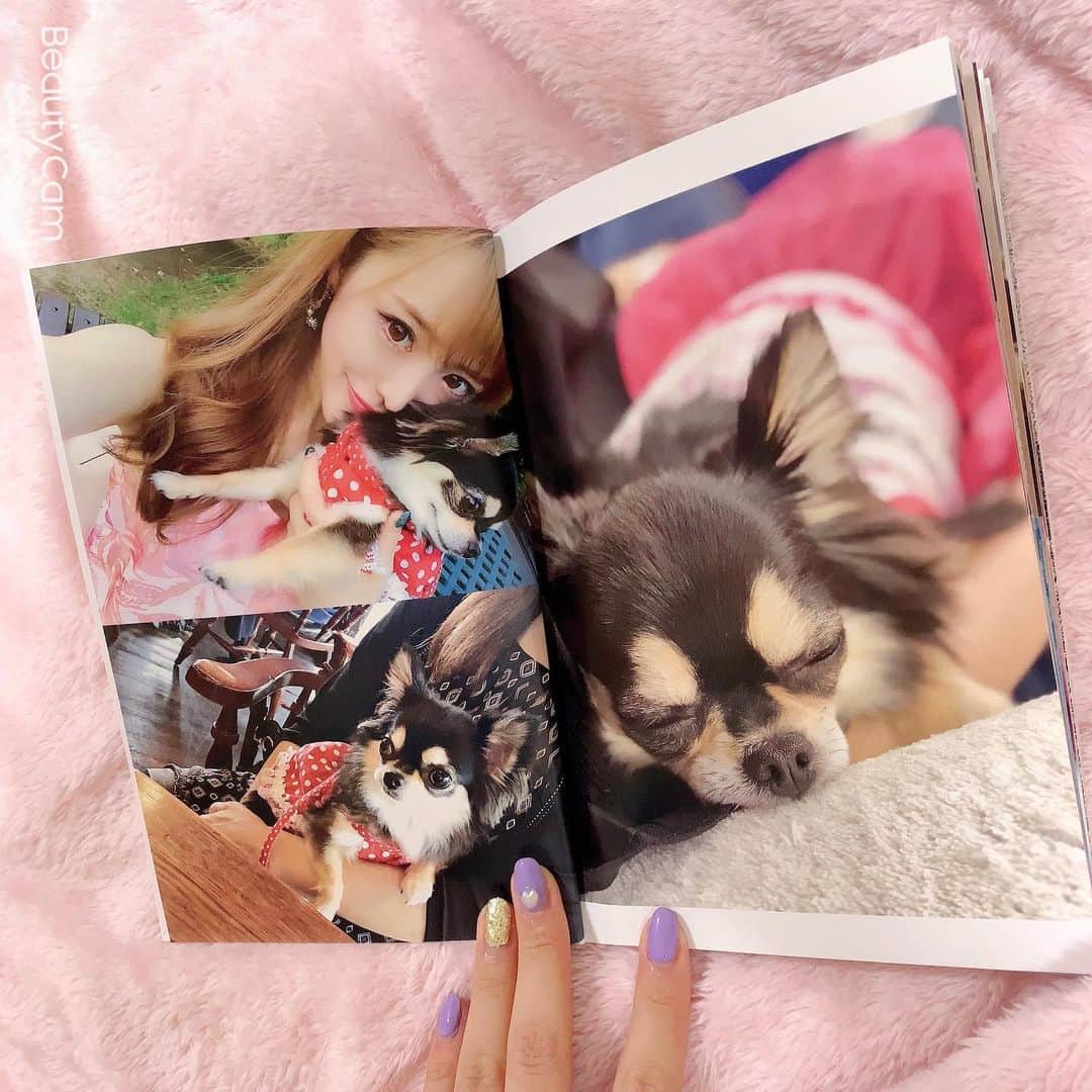 RIKAさんのインスタグラム写真 - (RIKAInstagram)「. . . 小梅ちゃんのアルバム♥️🧸♥️🧸♥️ . 写真もアルバムもあるけど 本の方がコンパクトで見やすいよ✨✨ . 400ページ以上あるから時間かかったけど 懐かしくて可愛すぎてあっとゆーまに出来た♥️ . #instalove#instagood#l4l#l4like#l4ls#princess #chihuahua#chihuahualove#chihuahuas#dog #baby#dogstagram#love#happybirthday#1月26日 #誕生日#犬好きさんと繋がりたい#🐾#5歳 #ブラックタン#チワワ#小梅#愛犬#可愛い #プリンセス#花見#桜#🌸#ディズニー」4月15日 22時55分 - riitan212