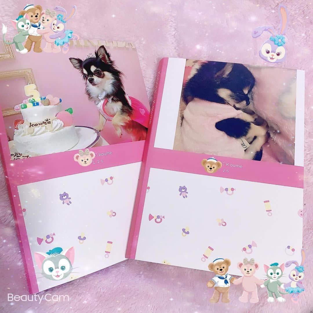 RIKAさんのインスタグラム写真 - (RIKAInstagram)「. . . 小梅ちゃんのアルバム♥️🧸♥️🧸♥️ . 写真もアルバムもあるけど 本の方がコンパクトで見やすいよ✨✨ . 400ページ以上あるから時間かかったけど 懐かしくて可愛すぎてあっとゆーまに出来た♥️ . #instalove#instagood#l4l#l4like#l4ls#princess #chihuahua#chihuahualove#chihuahuas#dog #baby#dogstagram#love#happybirthday#1月26日 #誕生日#犬好きさんと繋がりたい#🐾#5歳 #ブラックタン#チワワ#小梅#愛犬#可愛い #プリンセス#花見#桜#🌸#ディズニー」4月15日 22時55分 - riitan212