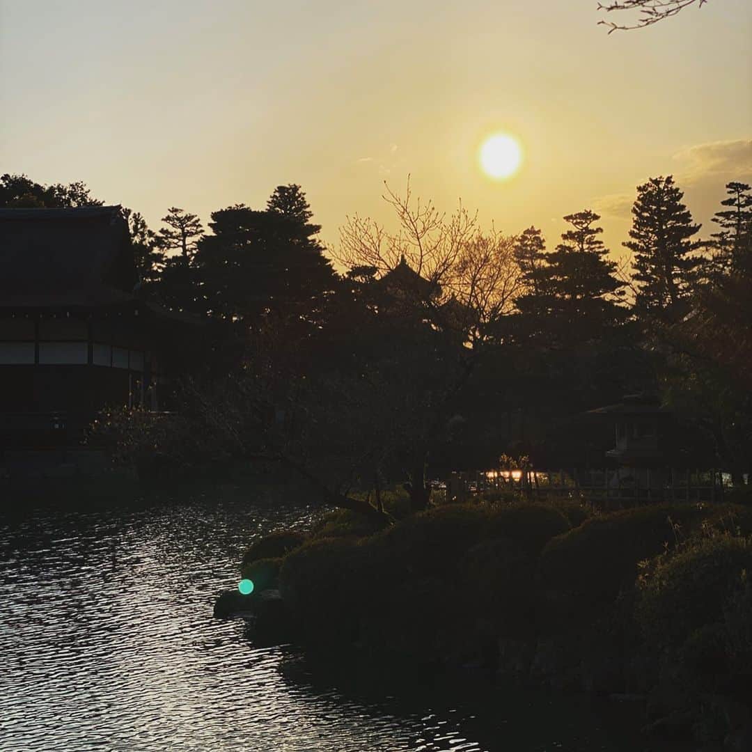 大島央照さんのインスタグラム写真 - (大島央照Instagram)「平安神宮の神殿✨﻿ ベニシダレザクラ、ヤエザクラ、ソメイヨシノが咲く、天蓋のように空を覆う圧倒的な光景で神秘的な場所。﻿ 平安神宮は私にとって特別な場所で、昨年、一昨年前、この桜に出会って、涙がでそうなくらい感動したこと、またここに戻ってきたいと思ったことを今でも覚えています。京都での観光は今は難しいですが、いつか是非訪れて欲しい場所。ライトアップもむちゃくちゃ綺麗です🌸✨ お家にいれる方々、今はできるだけリラックス♫してお家で楽しくすごして乗り越えていきましょう！！😊 ﻿ ﻿ ﻿ #お家でみよう　#桜　#cherryblossom #平安神宮 #素晴らしい　#いつかの桜　#夜桜も綺麗　#またここで　#コロナに負けず　#大切な人を守ろう　#元気に　#お家にいよう　#stayhome﻿ ﻿」4月15日 23時34分 - chiakioshima