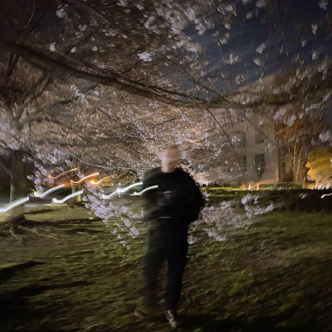 辻?本知彦さんのインスタグラム写真 - (辻?本知彦Instagram)「桜の木の した」4月16日 0時40分 - tomohiko_tsujimoto_official