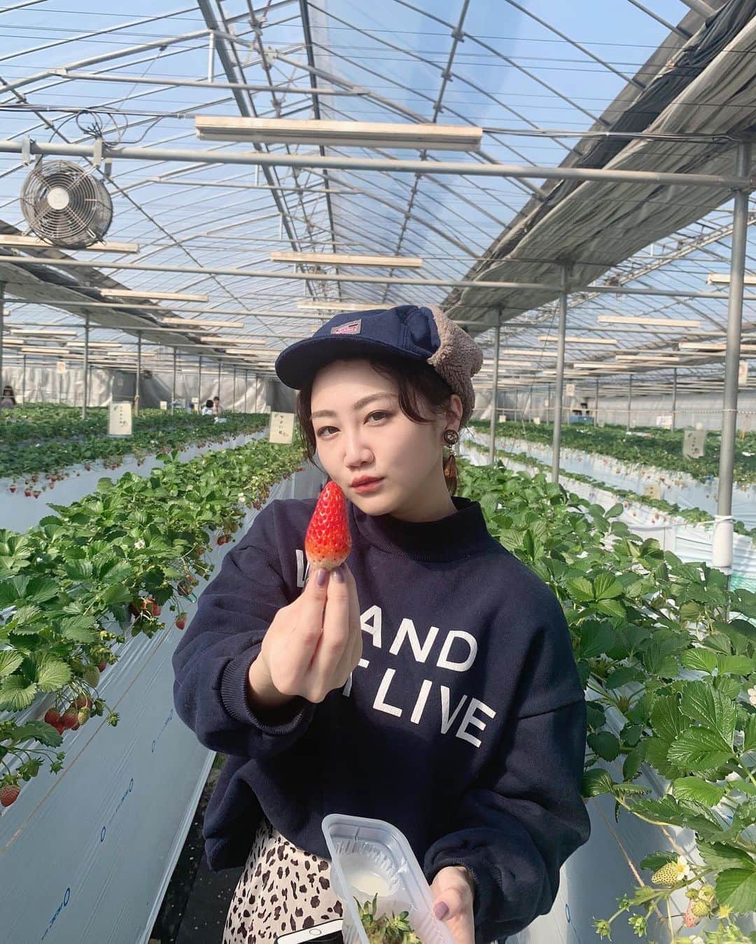 樹麗のインスタグラム：「🍓自粛期間前のいちご狩り🍓  自分の2月生まれに便乗しての 毎年恒例で。 だけど 毎年恒例って 奇跡なんだよね、  来年も行けますように🙏✨. . . みんなが行きたい場所にいけますように。 逢いたい人に逢えますように。  #苺狩り#とちおとめ#やよいひめ#紅ほっぺ#あきひめ#年々取るのうまくなってるナ#30個は食べたかナ#練乳も買ったからナ#お腹いっぱいっていいながらナ#最後の1秒まで食べるよナ#農家の方々ありがとうございます #🍓#🐝. . . #🦠🚫」