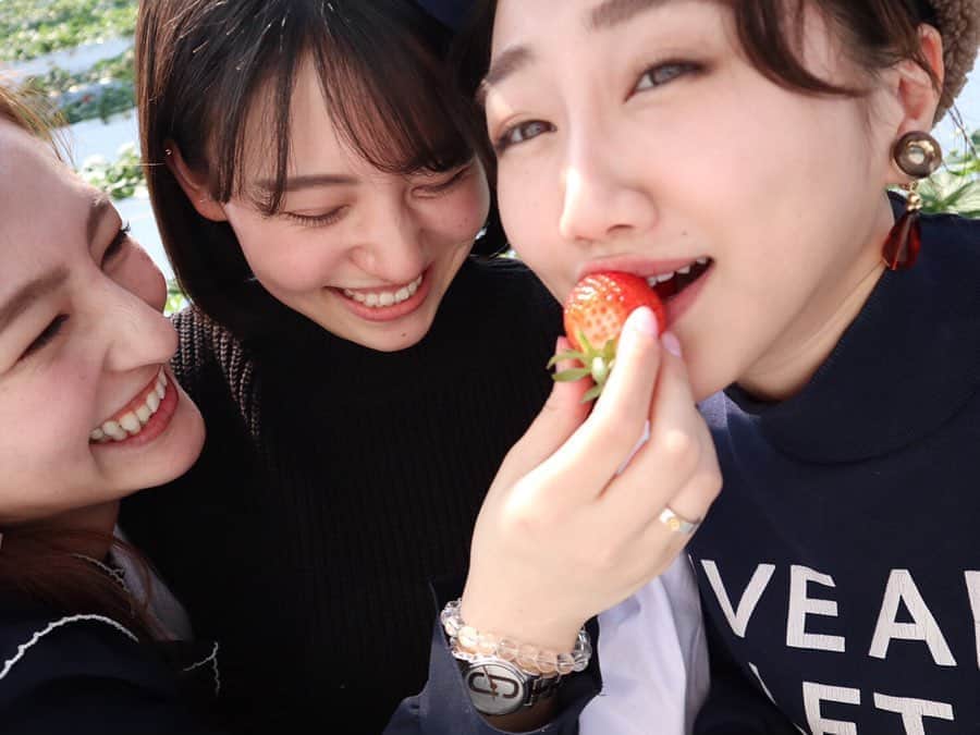 樹麗のインスタグラム：「ずーっと笑ってた。もう。 セロトニンまつり🐝。 YOU達に早く会いたいYO! . .  #🍓🍓🍓#チーム椿姫#苺ねじ込まれた #今まで食べた中で一番美味しかった #ええそうです#私笑うと顎出るんです」