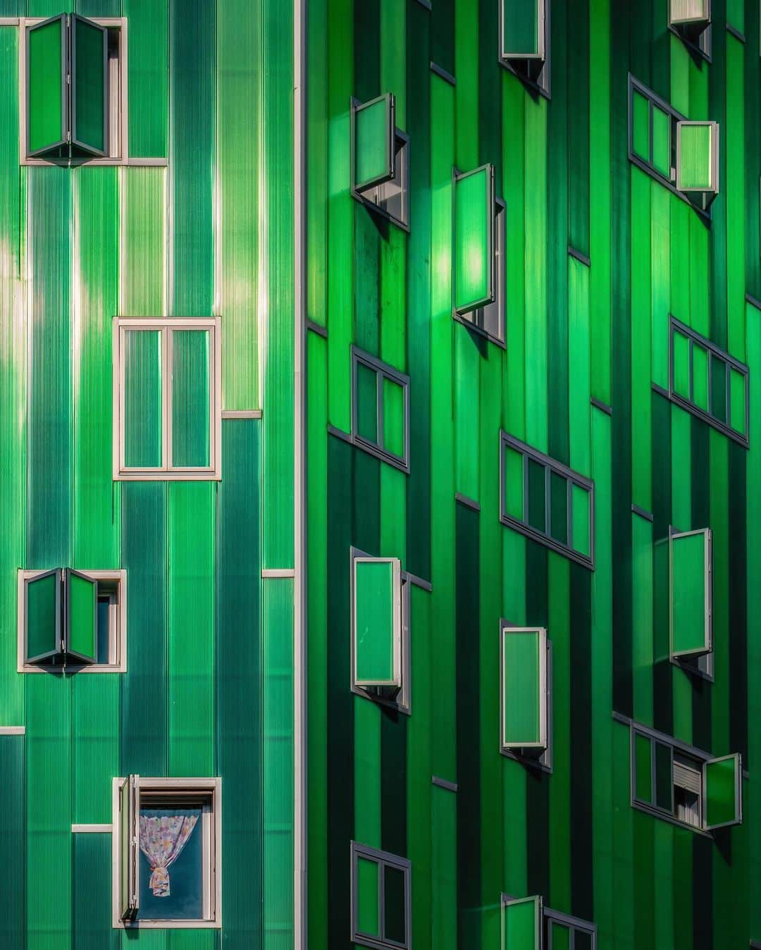 Nicanor Garcíaのインスタグラム：「Photosynthesis at home | Fotosíntesis en casa #nicanorgarcia @travelarchitectures」