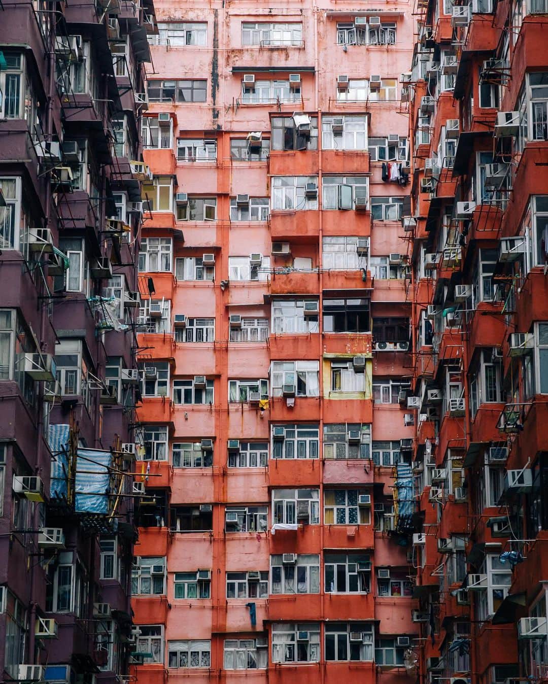 trashのインスタグラム：「Massive shout out to my entire @skillshare family. My three photography courses have a total of over 59,000 students that have watched over 2 million minutes. I couldn’t be more grateful for the support and I hope these classes added some value to your photo game.  If you haven’t checked it out already and you need something to do during your quarantine, I highly recommend signing up for @skillshare. Hit the link in my bio now.  I also wanted to mention that I am in the middle of planning my 4th class, currently finalizing my curriculum before we begin shooting. I look forward to sharing with you all my next class in the coming months. Until then, stay safe and stay home.」
