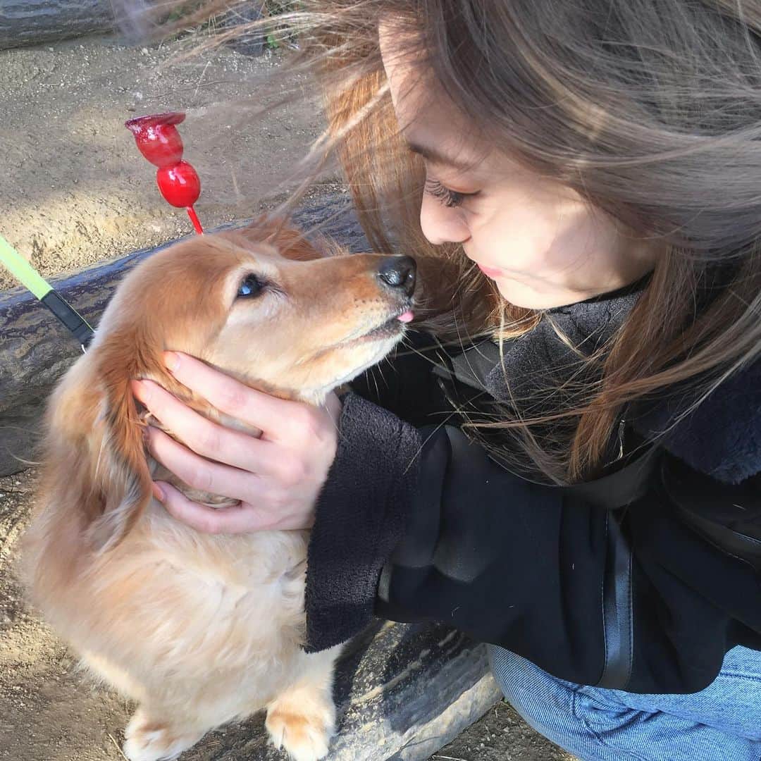 滝口成美のインスタグラム：「サムと家族、友達にも会いたすぎる 生きてるうちにあとどれぐらいみんなと 過ごせる時間があるのだろうか 自粛期間が長すぎて 仕事が出来る事も改めて 感謝しなくちゃならないと思った こんな世の中に大切な時間を削られたくない 時間って本当大切にしなくちゃならないね 今は自分が出来ることするしかないけど」