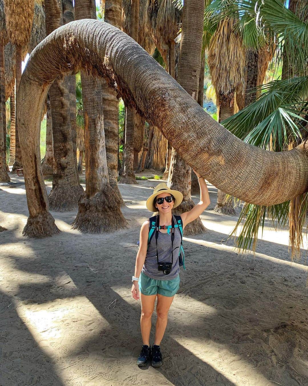 マリッサ・キャステリのインスタグラム：「I miss traveling... . . . . . . *#palmsprings #palmvalley #california」