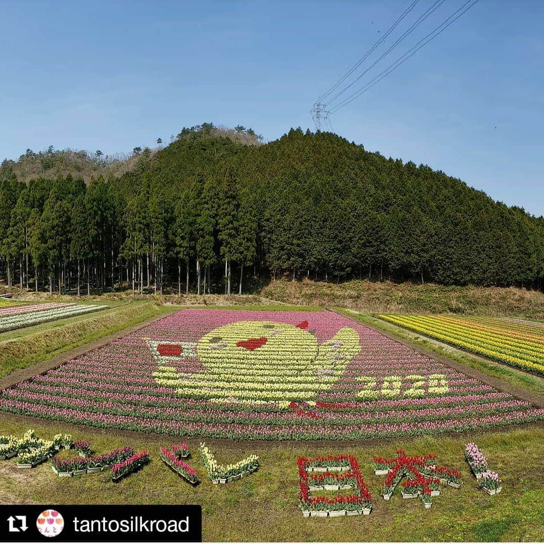 兵庫県のインスタグラム