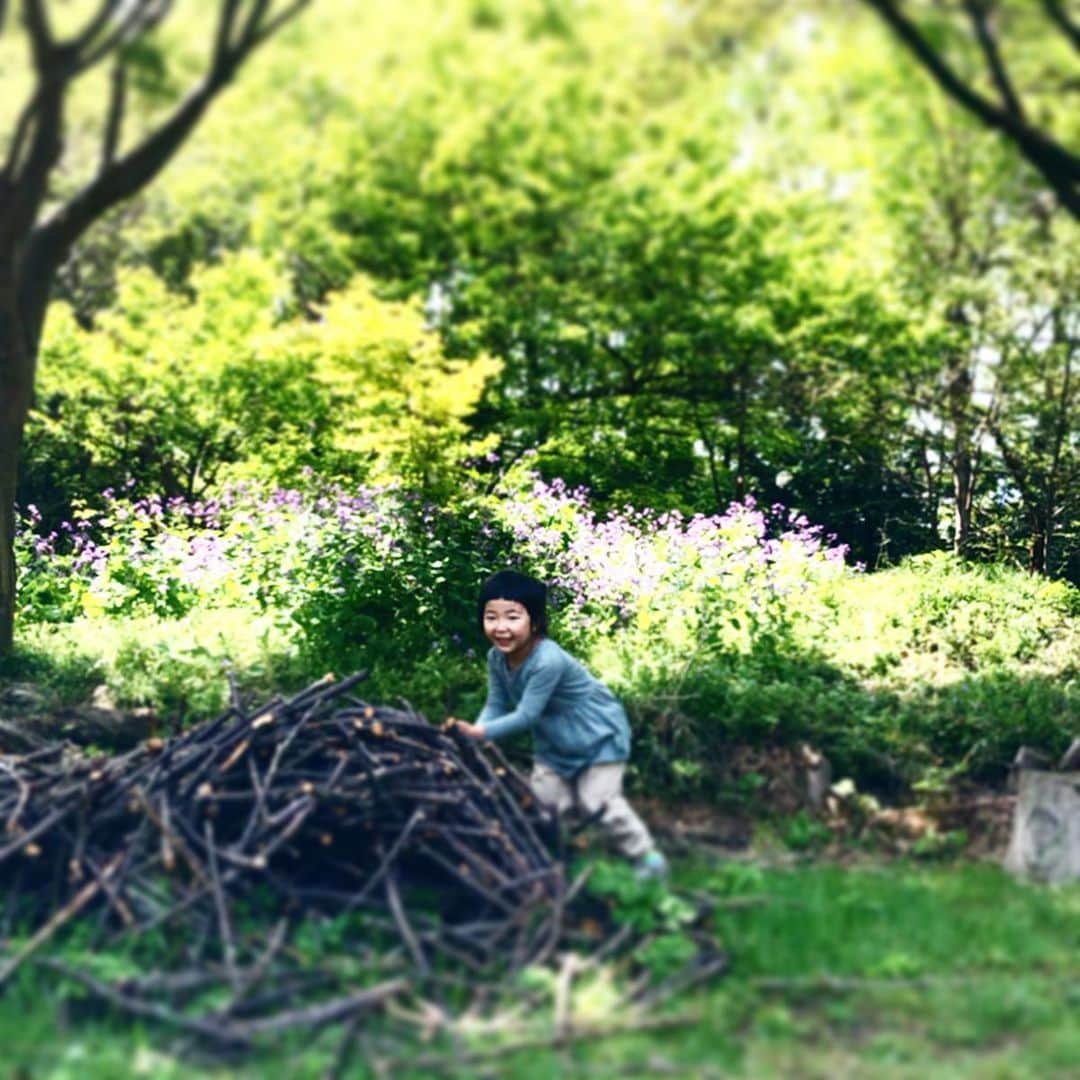 新井美穂さんのインスタグラム写真 - (新井美穂Instagram)「寝るのは絶対私と一緒。昼寝なし。それに加えて今日はまさかの5時半に起き出してきた娘にギョッとしたー！  大切な朝の私の時間よぉー😭（笑）  なので今日は朝から2時間、大笑いしながらひたすら人のいない道をお散歩して 自分で選んだパンを買って帰ってがっついてランチ。  これなら流石に昼寝してくれるだろうと思っているんだけども。。。（笑） #タフな娘#意地でも昼寝しない  何で寝ないの？と聞くと ビックリした顔して 「えーー？寝ない寝ない〜！ だって寝るのは夜でしょ？粘土遊びしようよー🎵」 保育園で毎日3時間ガッツリ寝てたくせにー  散歩してる保育園児たちを見て 「なつかしいよね〜」とコメントした娘😅（笑）  今日も早寝するしかないな😅  #娘3歳10ヶ月#昼寝求む#仙川さんぽ」4月16日 14時06分 - arai_miho