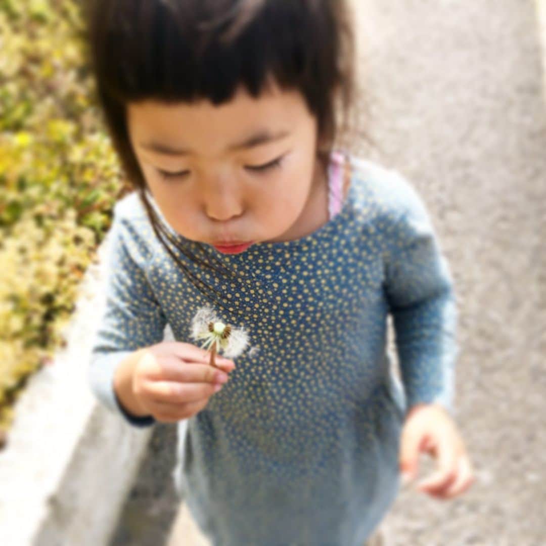 新井美穂さんのインスタグラム写真 - (新井美穂Instagram)「寝るのは絶対私と一緒。昼寝なし。それに加えて今日はまさかの5時半に起き出してきた娘にギョッとしたー！  大切な朝の私の時間よぉー😭（笑）  なので今日は朝から2時間、大笑いしながらひたすら人のいない道をお散歩して 自分で選んだパンを買って帰ってがっついてランチ。  これなら流石に昼寝してくれるだろうと思っているんだけども。。。（笑） #タフな娘#意地でも昼寝しない  何で寝ないの？と聞くと ビックリした顔して 「えーー？寝ない寝ない〜！ だって寝るのは夜でしょ？粘土遊びしようよー🎵」 保育園で毎日3時間ガッツリ寝てたくせにー  散歩してる保育園児たちを見て 「なつかしいよね〜」とコメントした娘😅（笑）  今日も早寝するしかないな😅  #娘3歳10ヶ月#昼寝求む#仙川さんぽ」4月16日 14時06分 - arai_miho
