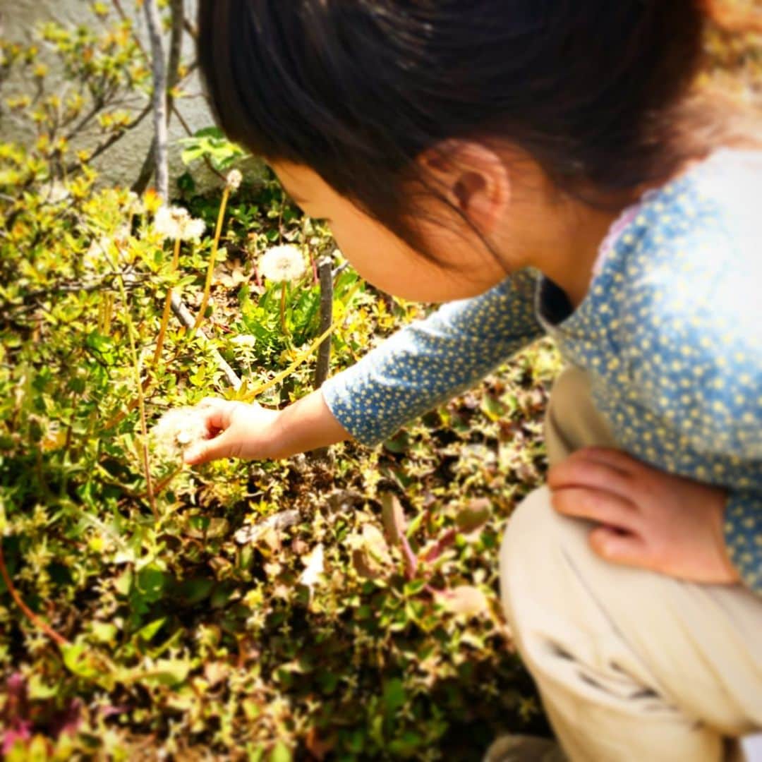 新井美穂さんのインスタグラム写真 - (新井美穂Instagram)「寝るのは絶対私と一緒。昼寝なし。それに加えて今日はまさかの5時半に起き出してきた娘にギョッとしたー！  大切な朝の私の時間よぉー😭（笑）  なので今日は朝から2時間、大笑いしながらひたすら人のいない道をお散歩して 自分で選んだパンを買って帰ってがっついてランチ。  これなら流石に昼寝してくれるだろうと思っているんだけども。。。（笑） #タフな娘#意地でも昼寝しない  何で寝ないの？と聞くと ビックリした顔して 「えーー？寝ない寝ない〜！ だって寝るのは夜でしょ？粘土遊びしようよー🎵」 保育園で毎日3時間ガッツリ寝てたくせにー  散歩してる保育園児たちを見て 「なつかしいよね〜」とコメントした娘😅（笑）  今日も早寝するしかないな😅  #娘3歳10ヶ月#昼寝求む#仙川さんぽ」4月16日 14時06分 - arai_miho