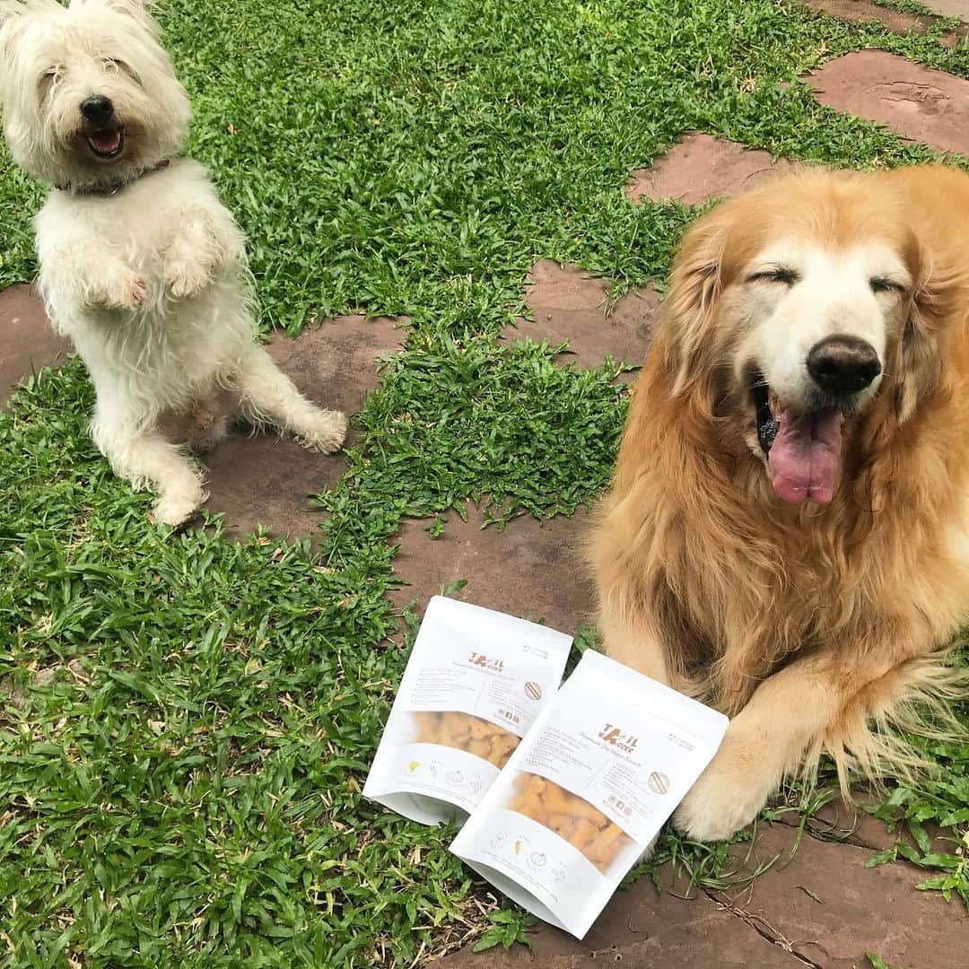 Hoykong&Plamuekのインスタグラム：「ขนมจาก @tailwagger.th รส carrot และรส Broccoli อบใหม่ๆจากเพื่อนแม่ส่งมาให้พวกเราชิม อร่อยไม๊ต้องดูจากคลิปนะค้าบ  Homemade Dog Veggie Biscuits from my mom’s friend. So yummy 😍」