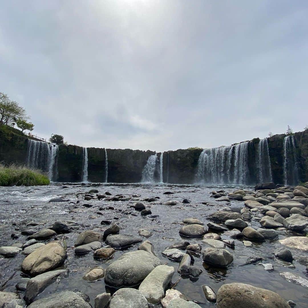 ゆふいん温泉　日の春旅館さんのインスタグラム写真 - (ゆふいん温泉　日の春旅館Instagram)「大分県豊後大野市緒方町の原尻の滝‼︎ 迫力満点です‼︎ チューリップもきれいに咲いていました🌷 東洋のナイアガラと呼ばれています‼︎ 2013年にジオパークに認定されています‼︎ 帰りに浜嶋酒造さんに寄って帰りました🍶  #由布院 #豊後大野市 #緒方町 #旅館 #温泉  #旅行 #文化 #鷹来屋 #日本酒#酒 #oita #yufuin  #ogata  #ryokan #onsen #bath #travel #culture #sake #japanesesake  #コロナに負けない #コロナに負けない由布院 #コロナに負けない大分県」4月16日 6時05分 - hinoharu_ryokan
