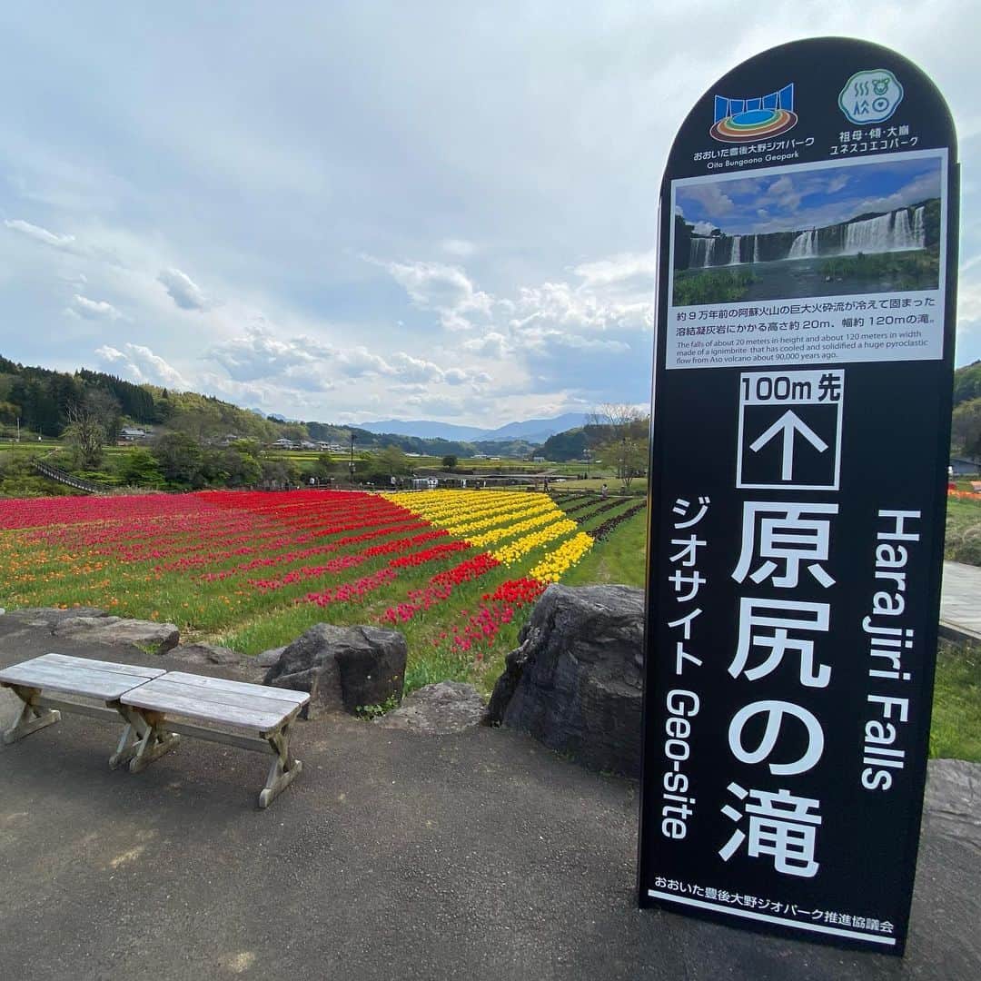 ゆふいん温泉　日の春旅館さんのインスタグラム写真 - (ゆふいん温泉　日の春旅館Instagram)「大分県豊後大野市緒方町の原尻の滝‼︎ 迫力満点です‼︎ チューリップもきれいに咲いていました🌷 東洋のナイアガラと呼ばれています‼︎ 2013年にジオパークに認定されています‼︎ 帰りに浜嶋酒造さんに寄って帰りました🍶  #由布院 #豊後大野市 #緒方町 #旅館 #温泉  #旅行 #文化 #鷹来屋 #日本酒#酒 #oita #yufuin  #ogata  #ryokan #onsen #bath #travel #culture #sake #japanesesake  #コロナに負けない #コロナに負けない由布院 #コロナに負けない大分県」4月16日 6時05分 - hinoharu_ryokan