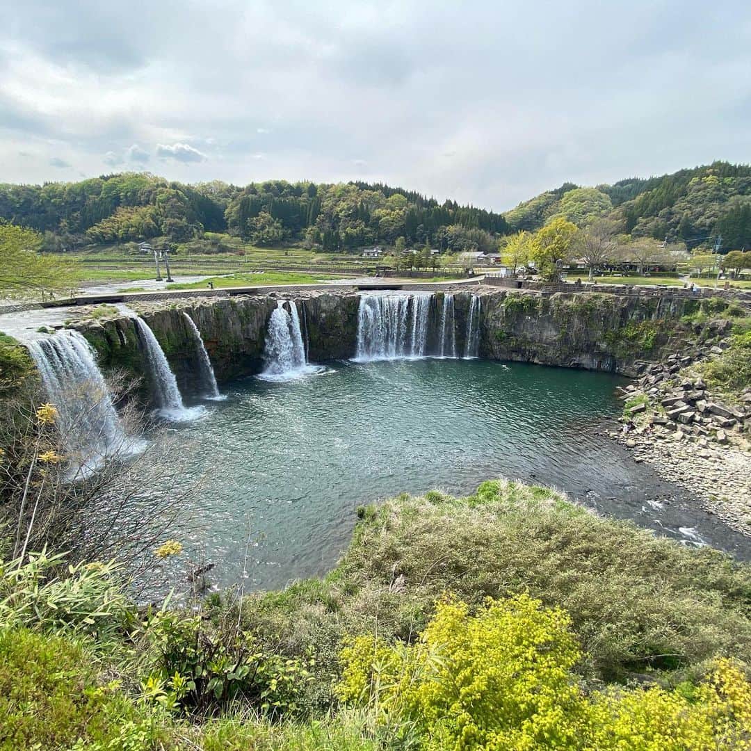 ゆふいん温泉　日の春旅館さんのインスタグラム写真 - (ゆふいん温泉　日の春旅館Instagram)「大分県豊後大野市緒方町の原尻の滝‼︎ 迫力満点です‼︎ チューリップもきれいに咲いていました🌷 東洋のナイアガラと呼ばれています‼︎ 2013年にジオパークに認定されています‼︎ 帰りに浜嶋酒造さんに寄って帰りました🍶  #由布院 #豊後大野市 #緒方町 #旅館 #温泉  #旅行 #文化 #鷹来屋 #日本酒#酒 #oita #yufuin  #ogata  #ryokan #onsen #bath #travel #culture #sake #japanesesake  #コロナに負けない #コロナに負けない由布院 #コロナに負けない大分県」4月16日 6時05分 - hinoharu_ryokan