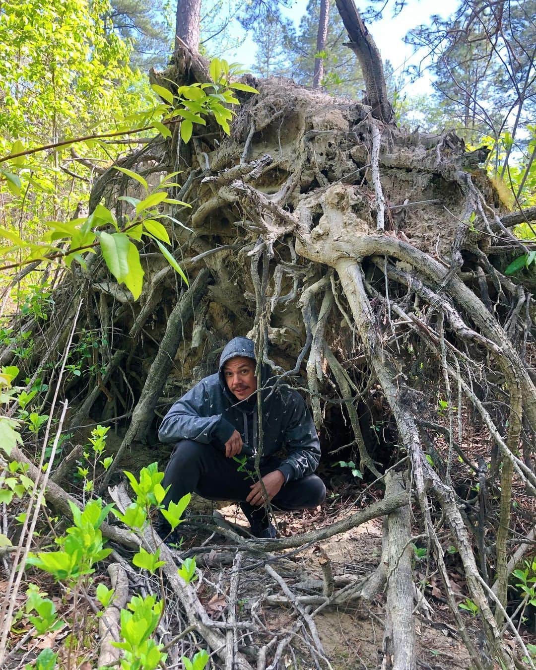のインスタグラム：「We #hike now 🌲」