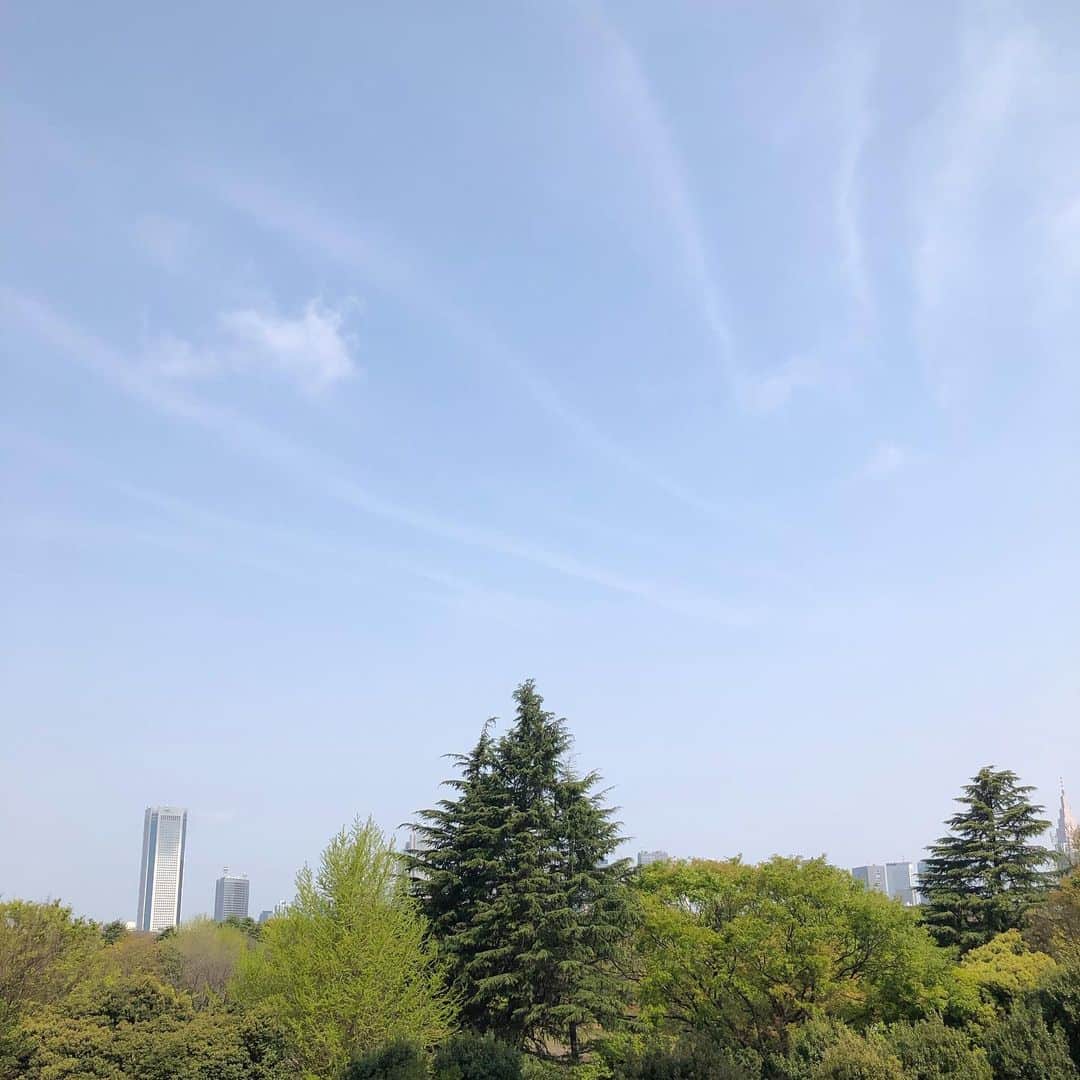 川坂勇太さんのインスタグラム写真 - (川坂勇太Instagram)「いい空ですね。東京は夕方に雨予想。 現在「雷注意報（昼過ぎから夜遅くまで）」が出ています。 が、広く降る雨ではないことと今日の予定を考えると雨に濡れる確率は低いと予想し、折り畳みの傘もいらない。 今日はヴィヴィアンウエストウッドとアシックスタイガーのコラボのスニーカーで仕事にきています。  #予報士の特権 #傘は荷物になるから持ちたくない #雨よ降ってみろ #天気への挑戦  #いまそら #東京 #ヴィヴィアンウエストウッド #アシックス #アシックスタイガー #ゲルds #スニーカー #viviennewestwood #asics #asicstigrer #gel-ds #sneakers #tokyo」4月16日 10時10分 - yutakawasaka
