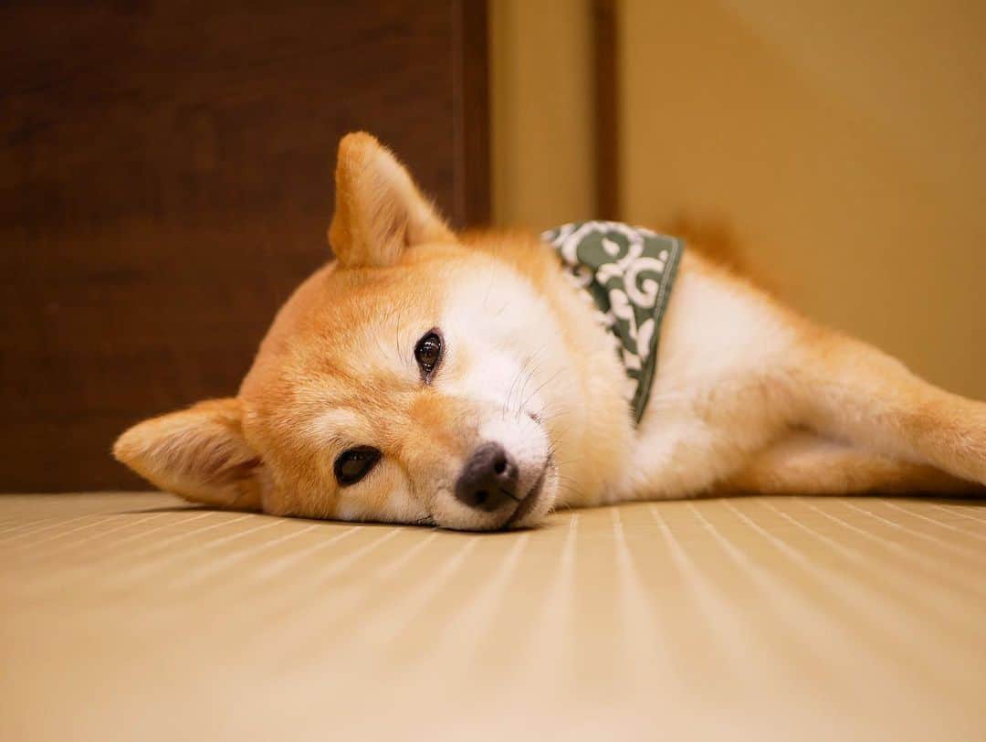 下口ひななのグルメインスタ