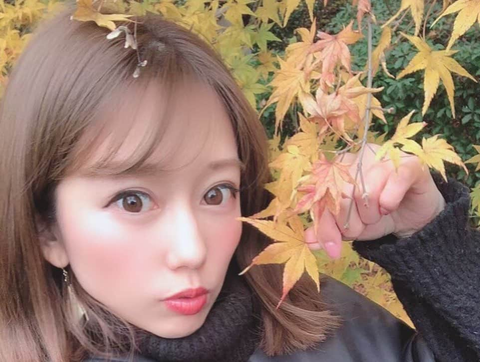 工藤紬のインスタグラム：「﻿ 🍁﻿ ﻿ カメラロールを見てたら﻿ 去年の載せ忘れがたくさんあったから﻿ ちょこちょこ載せるね♪﻿ ﻿ #🍁 #紅葉 #autumnleaves #nature #japan #tb #tbt」