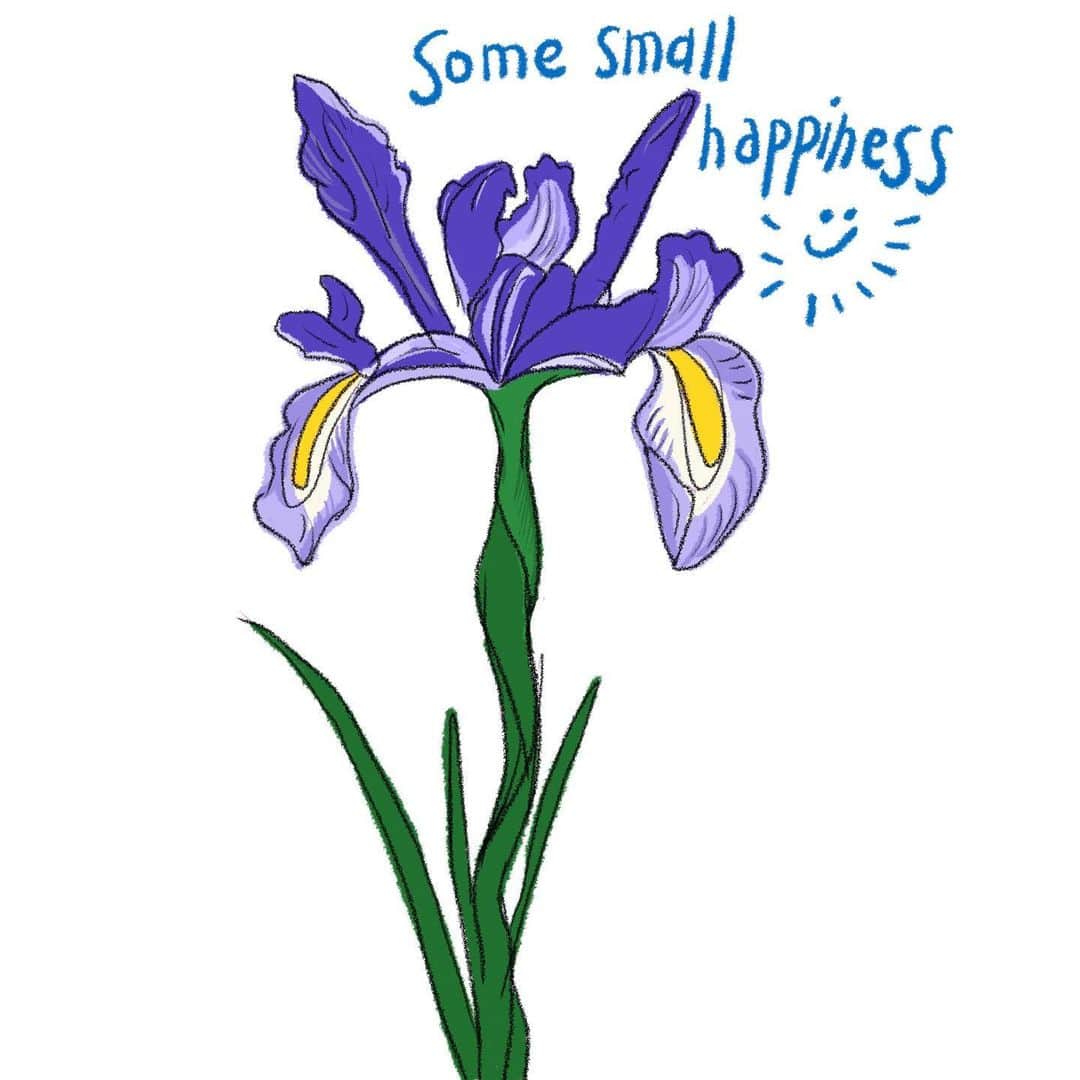 nanamyさんのインスタグラム写真 - (nanamyInstagram)「最近は天気がいいだけで幸せ、家の下に一輪咲いてたお花でさらに幸せ🌞 ・ #stayhome #sunnyday #flower #somebitofhappiness #drawing #illustration #doodle」4月16日 10時33分 - nanamy