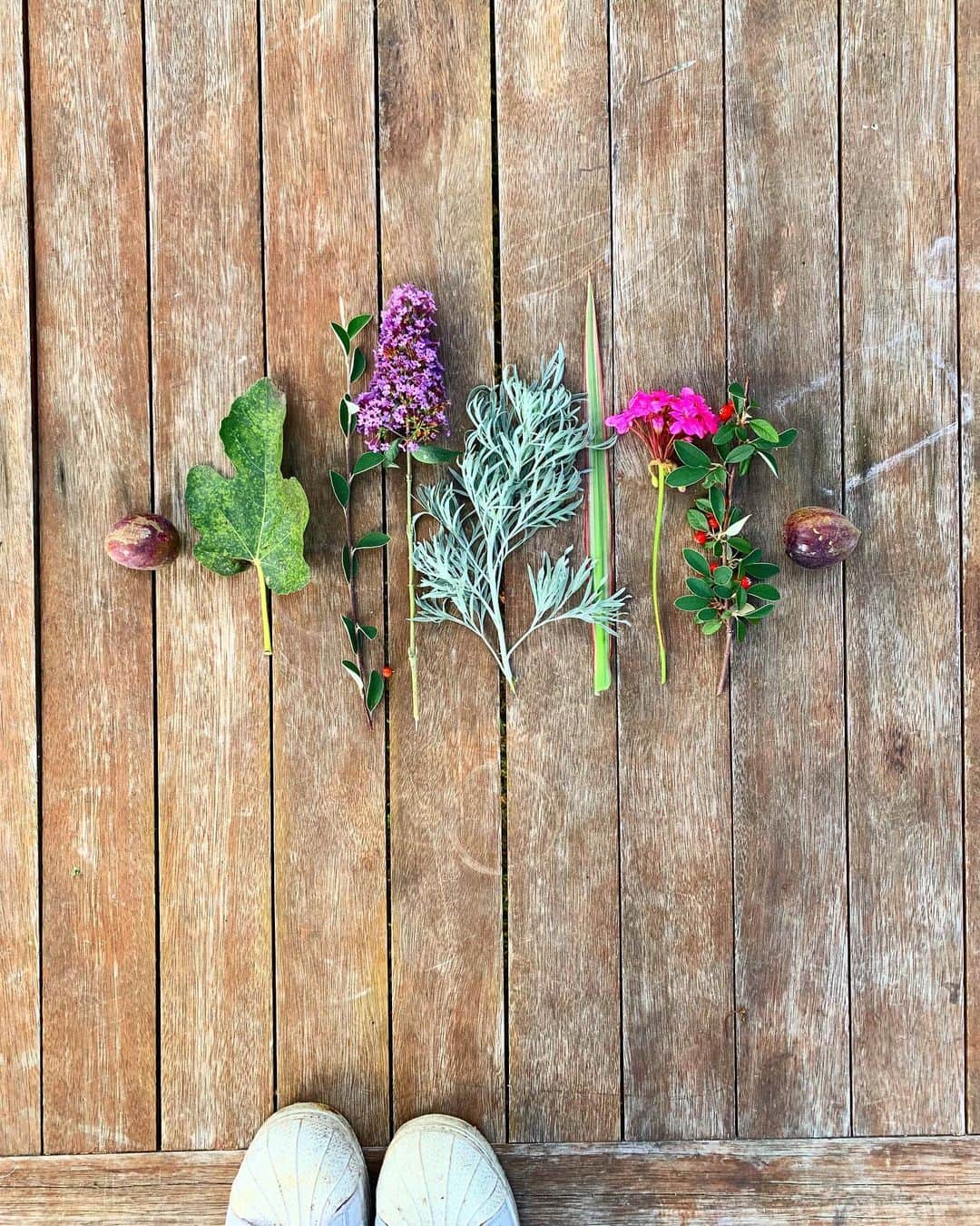 ニッキ・バン ダイクのインスタグラム：「Spending all this time at home has really made me appreciate the simple and pure beauty right in my backyard 🌸🌼🌿🌼🌳💕 @jeep #thegreatindoors #stayofftheroad #jeepwsl @wsl @jeepaustralia @jeepeurope @jeepdobrasil #•|||||||•」