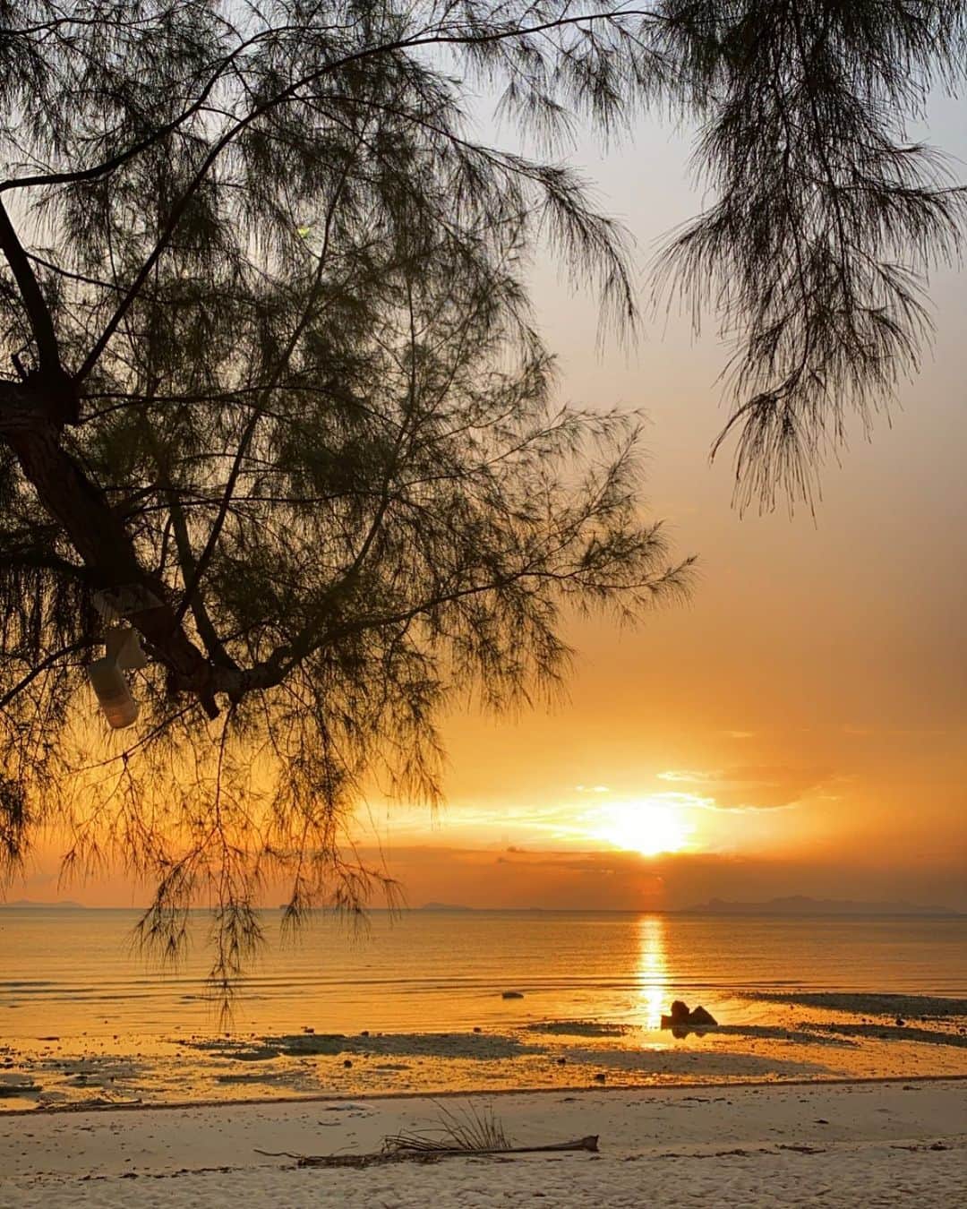 のインスタグラム：「Samui ✨Sunset ✨ Silence ✨」