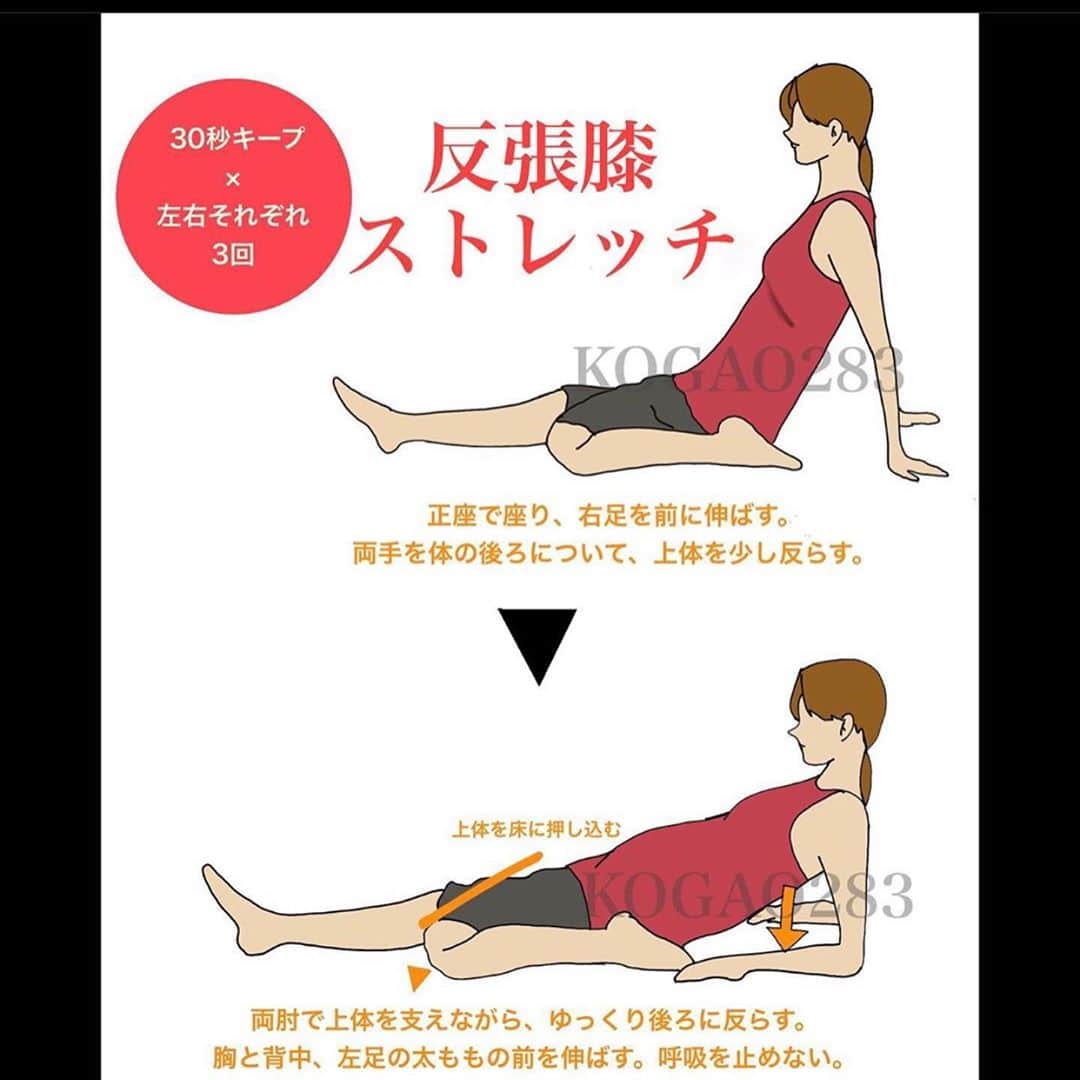 kogao283さんのインスタグラム写真 - (kogao283Instagram)「腰痛 反張膝  #太ももストレッチ❷ 大腿四頭筋は太ももの前面にある筋肉で、ひざを伸ばす膝関節の伸展動作と太ももを前に挙げる（股関節の屈曲）動作、骨盤を立てる（骨盤の前傾）動作の際に働いています。  この筋肉が硬くなると、ひざを深く曲げられなくなったり、太ももを体幹の後ろに伸ばす（股関節の伸展）動作の関節可動域が小さくなってしまいます。 筋力が弱くなると、太ももを前に高く挙げられなくなったり、ひざを真っ直ぐに伸ばす動作が困難となります。  もも前の筋肉の張り、凝りを緩和したい人、膝を曲げる動作を柔らかくしたいにオススメのストレッチです。」4月16日 11時13分 - kogao283