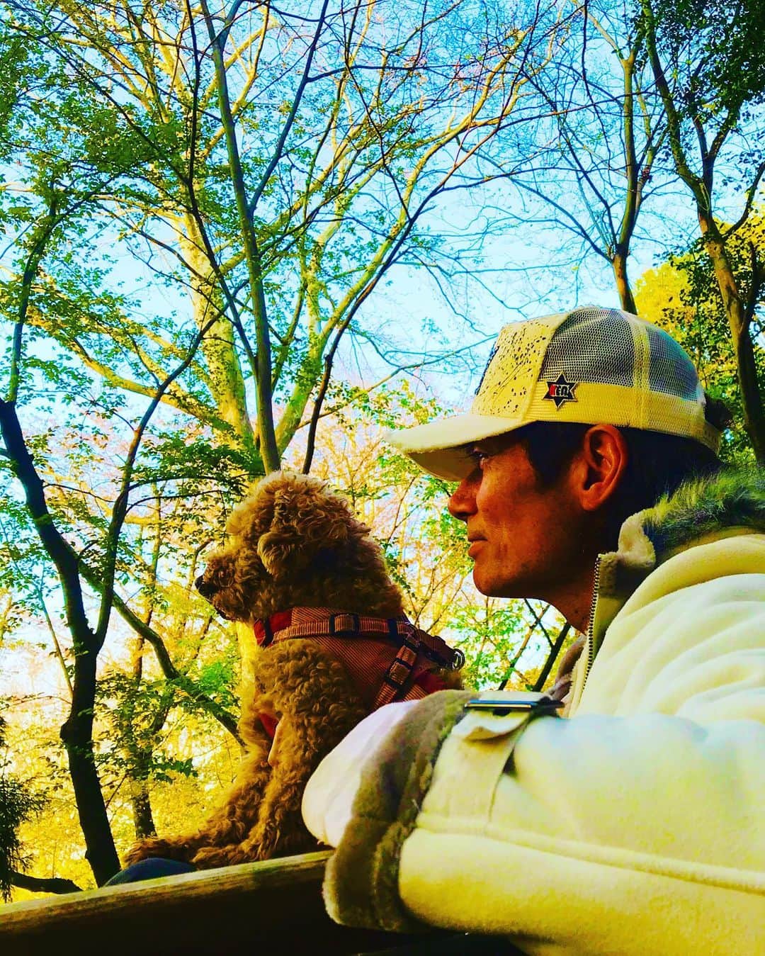 マイケル富岡のインスタグラム：「明日を…見つめてます♡ マイナスイオン補給中♡ #愛犬 #愛犬家 #癒し #love #mybaby #beautiful #nature #actorslife #actor #shooting #マイケル富岡 #タレント #俳優 #撮影 #idcmarjun #gah #generalamericanhome #walkingmybaby #staysafe #自粛 #免疫力アップ #positivevibes」