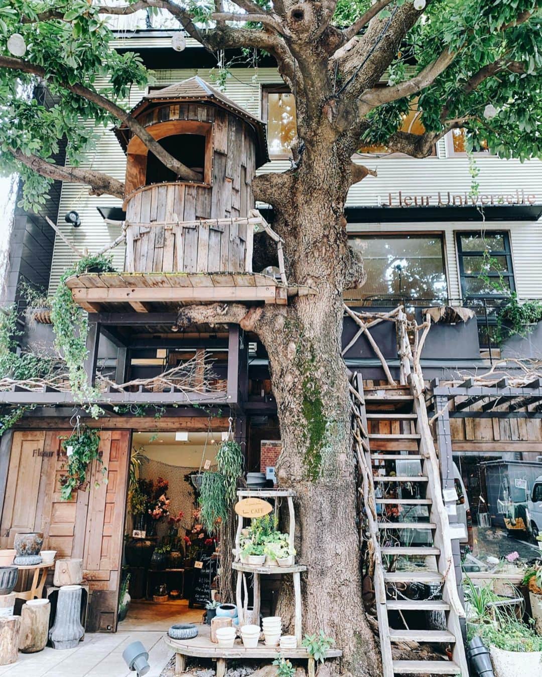 畑有里紗さんのインスタグラム写真 - (畑有里紗Instagram)「Les Grands Arbres🌲🍴 📍東京都港区南麻布5-15-11 . . 2月にあんころと行った 広尾にあるツリーハウスのカフェ レ・グランザルブル🥗❤️ フランス語で大きな木という意味の ナチュラルガーデンカフェ☕️ ・ 美容にいい食材を使った野菜が たっぷりなランチがたくさんあった☺️ ランチも食後にシェアしたキャラメルナッツパンケーキも美味しかったなぁ🥞🥣❤︎ . . . #ariicode#レグランザルブル#都内カフェ#広尾カフェ#lesgrandsarbres#東京カフェ#広尾カフェ巡り#カフェ巡り#カフェ好き#tokyocafe#ツリーハウス#ツリーハウスカフェ」4月16日 12時04分 - arii_m36
