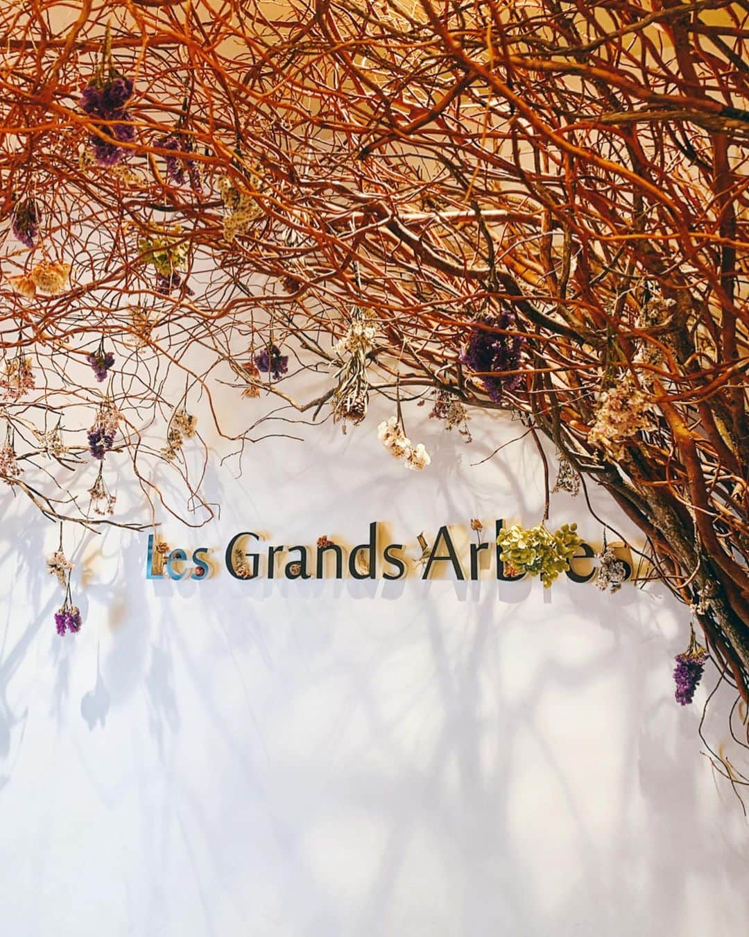 畑有里紗さんのインスタグラム写真 - (畑有里紗Instagram)「Les Grands Arbres🌲🍴 📍東京都港区南麻布5-15-11 . . 2月にあんころと行った 広尾にあるツリーハウスのカフェ レ・グランザルブル🥗❤️ フランス語で大きな木という意味の ナチュラルガーデンカフェ☕️ ・ 美容にいい食材を使った野菜が たっぷりなランチがたくさんあった☺️ ランチも食後にシェアしたキャラメルナッツパンケーキも美味しかったなぁ🥞🥣❤︎ . . . #ariicode#レグランザルブル#都内カフェ#広尾カフェ#lesgrandsarbres#東京カフェ#広尾カフェ巡り#カフェ巡り#カフェ好き#tokyocafe#ツリーハウス#ツリーハウスカフェ」4月16日 12時04分 - arii_m36