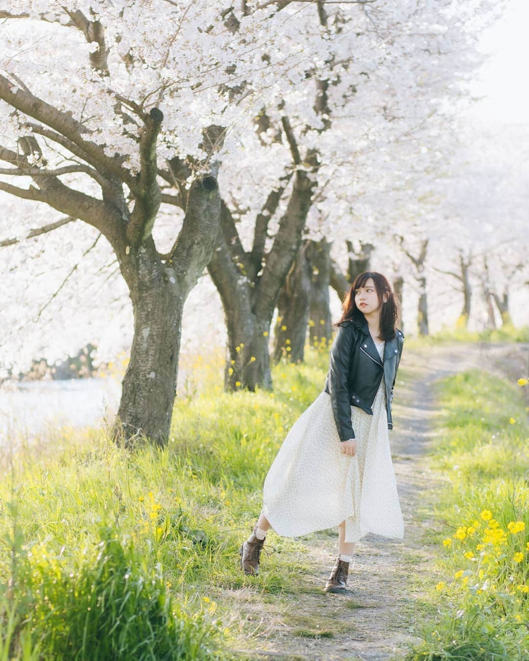 Tazumiさんのインスタグラム写真 - (TazumiInstagram)「こんにちはです🌸 . 桜がいつの間にか葉っぱになっちゃってました😂🌿 . でも、今年は愛知県で蕾から満開まで見る事が出来ました🥰 . 最初で最後の愛知県での桜撮影が出来て幸せでした☺️✨ . 新しい生活が、1ヶ月先延ばしになって6月からのスタートが決定しましたが、 . 次の桜はどうしても #天神中央公 園から見る川沿いの桜を見たいと思ってます！😚💕 . すごい小さい夢ですけど、あの公園をお散歩する度に春までここに居たいとワクワクしてました🤗 . 小さな楽しみを夢に、延期した後の予定が詰め詰めになりそうですが楽しみたいです😊♥ . .* *. *. .* *. #photo #photolate #instagood #撮影 #撮影会 #撮影依頼募集中 #ポートレート #カメラマン #モデル  #ストレートヘア #サロモ #サロンモデル #サロンモデル募集中  #フリーモデル #ハーフモデル #桜 #桜満開 #川沿い #菜の花 #引っ越し準備 #引っ越し #夢 #公園 #福岡」4月16日 12時37分 - tazumi_0225