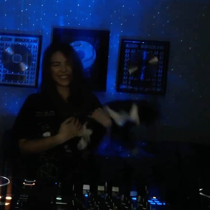 アリソン・ワンダーランドのインスタグラム：「Shout out the cat who walked into my studio tn then scratched me during my live stream on twitch then became my friend & is now chilling with my dog LMAO」