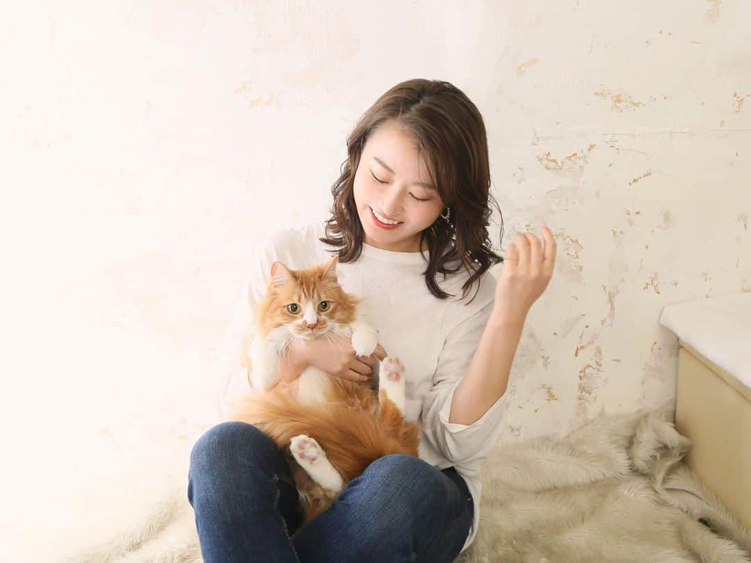 津田麻莉奈さんのインスタグラム写真 - (津田麻莉奈Instagram)「🐈 ⁑ ⁑ ⁑ ⁑ #うちの虎太郎くん 👈虎太郎の画像まとめ ⁑ T2studio(@t2sta )にて。 #以前撮っていただいた写真  #自粛前　 #お気に入り写真　 #肉球 #サービスショット #虎太郎 #こたろう #ねこ #4歳 #ミックス猫 #雑種猫　 #スコティッシュミックス  #スコティッシュ #茶白猫 #ねこ部 #ねこすたぐらむ  #猫#猫好き #catstagram #cat #catlover#고양이 #instacat #猫との暮らし  #まりなる #津田麻莉奈」4月16日 13時25分 - tsudamarinal