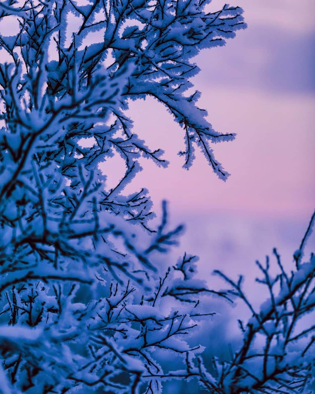 リリー＝ローズ・メロディのインスタグラム：「Cause it’s more than 30 degrees celsius over here in Bali, here’s some winter details 💙💜 ❄️」