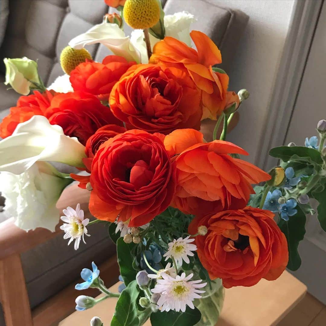 小谷あゆみのインスタグラム：「#お花生活　続行中〜 昨日もお花買いました そして待望のテーブルがキターー！ ソファとテーブルを1年前からずーっと探してて、ソファをようやく3月に買い、それに合う高めのテーブルがなかなか見つからなかったのだけどようやく決まり、今日搬入ー‼️ #いえ仕事 #いえ遊び #いえごはん はかどりそう\(//∇//)\ #ステイホーム #ステイホームを楽しく快適に❣️ #stayhome  #stayhomestyle  #stayhomegardening #カリモク60  #ロングライフデザイン #danddepartment  #unico」