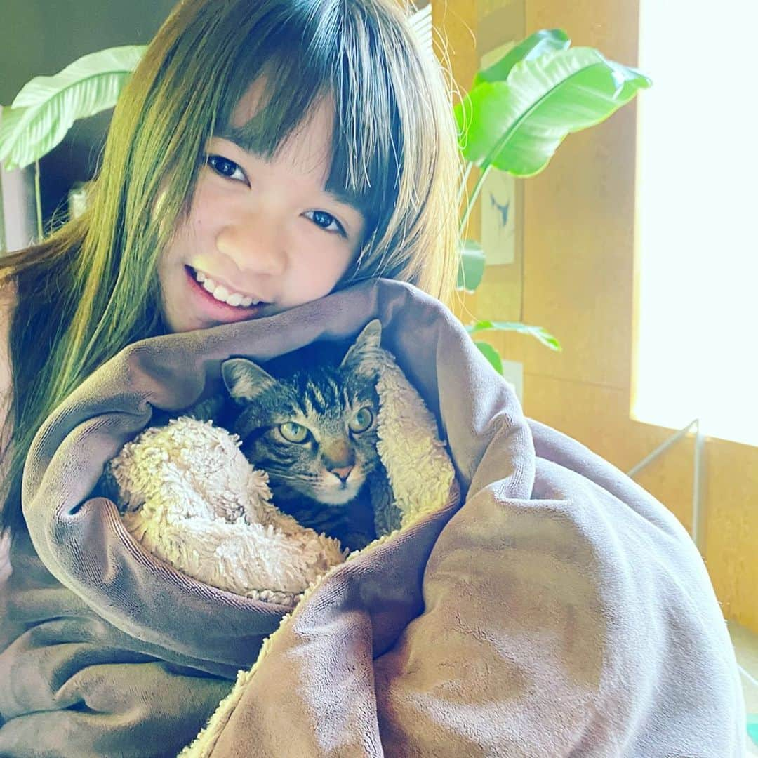 田中杏子さんのインスタグラム写真 - (田中杏子Instagram)「娘にいじられて、ヤレヤレだろうけど💦 きちんとお相手してくれる、 優しいベニさん😽😽💕 #おうち時間  #ていうか暇を持て余してるひと #beni_neko #neko」4月16日 16時42分 - akoakotanaka