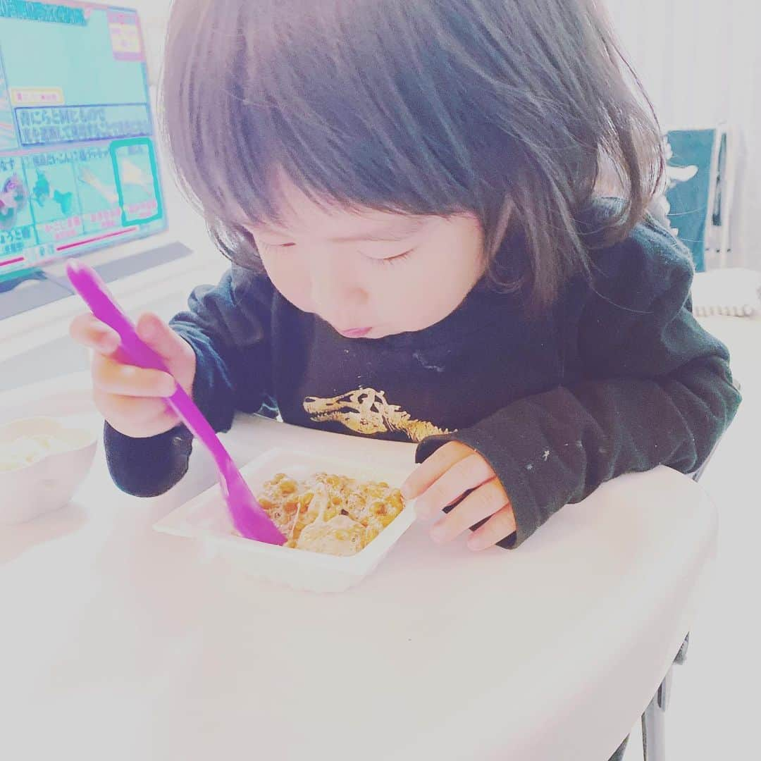 原口恵美さんのインスタグラム写真 - (原口恵美Instagram)「我が家の子供達♡みんな納豆大好き♡﻿ ﻿ 特に四男は納豆を見ると白米にかけずに﻿ すぐ食べようとする🤤﻿ ﻿ だめって言いたいけど、﻿ こんな顔されたら可愛すぎて﻿ 許してしまう...😅💦﻿ ﻿ ﻿ @lilyshandmade ちゃんの﻿ 愛らしい娘ちゃん﻿ しらたまちゃんが納豆を食べている姿が可愛すぎて、我が子もつい撮ってしまった😍💞 ﻿ #コロナでなの？　#何故か納豆が全然売ってないよ　#我が家は牛乳と納豆が命です🥛#しらたまちゃんlove﻿ ﻿」4月16日 16時51分 - megu_hara.comerin