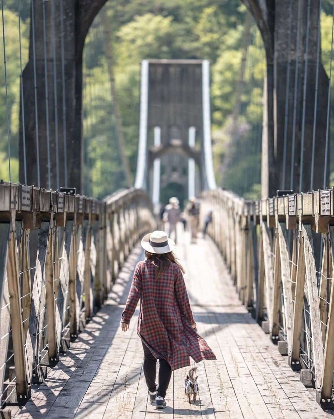 ?長野県 観光 公式インスタグラム さんのインスタグラム写真 - (?長野県 観光 公式インスタグラム Instagram)「//﻿ Photo by @erika520anko﻿ ﻿ The Momosuke Bridge﻿ (Nagiso Town)﻿ ﻿ The Momosuke Bridge was built 100 years ago during the Taisho Period (1912-1926). Its retro construction strikes a fine balance with the surrounding forests of the Kiso Valley.﻿ ﻿ Built during a time of modernization in Japan, the bridge is an important piece of heritage and has been designated as an important cultural asset. ﻿ ﻿ On the far side of the bridge is Tenpaku Park, where you can find a museum dedicated to the man from who the bridge got its name: Momosuke Fukuzawa. ﻿ ﻿ ＝＝＝＝＝＝＝＝﻿ ﻿ 橋を渡って﻿ 「桃介橋」﻿ ＠南木曽町﻿ ﻿ 木曽の自然と調和するレトロな雰囲気の﻿ 大正時代に完成した吊り橋「桃介橋」🍃﻿ ﻿ 過去と未来を結ぶ日本近代化遺産として﻿ 国の重要文化財に指定されています。 ﻿ 橋の先にある天白公園には﻿ 橋の名前の由来となった﻿ 「福沢桃介記念館」がありますよ✨﻿ ﻿ ーーーーーーーー﻿ ﻿ Location /Nagiso Town, Nagano, Japan ﻿ ﻿ ﻿ #おうちでながの﻿ #おうちで過ごそう﻿ #長野のいいところ﻿ #桃介橋﻿ #南木曽町﻿」4月16日 17時00分 - nagano_japan