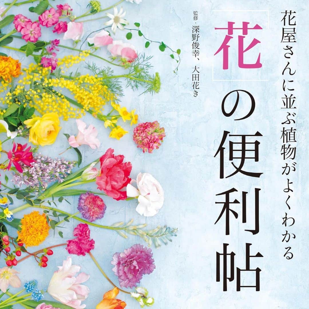 雑誌『花時間』さんのインスタグラム写真 - (雑誌『花時間』Instagram)「世界でも3番目に大きい花き市場、東京・大田市場を運営する大田花きと、老舗花店・カントリーハーベストが監修した、花図鑑の登場です。  花や葉、実が327種。品種数は850以上！　定番人気の花から、いま人気急上昇中のワイルドフラワーまで網羅した『花時間』の自信作です。歴史や名前のいわれなど、その植物にまつわる話から、産地、花もち、水あげ、扱い方といった情報までをぎっしり詰め込みました！  眺めているだけでも楽しいので、ぜひぜひ、おうち時間のお供に加えてくださいっ！  監修 @country_harvest_ch  撮影 @tanabe32  詳細はこちらから↓ https://www.kadokawa.co.jp/product/321906000430/  または、picの商品マークをタップください💕  #flowers #flowerslovers #flowerstagram #flowerarrangement  #花時間 #花時間2020 #花の便利帖 #花屋さんの花図鑑 #花図鑑 #花屋さん #花好き #花好きな人と繋がりたい #花が好きな人と繋がりたい #花のある生活 #花のある暮らし #花を飾る #花を飾る生活 #表参道 #おしゃれな花屋さん #花屋さんへ行こう #花の名前が知りたい #おうち時間 #おうちに花を」4月16日 17時15分 - hanajikan_magazine