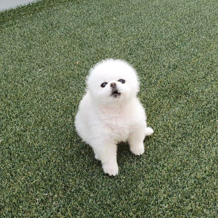 thesoy_yoonsoのインスタグラム