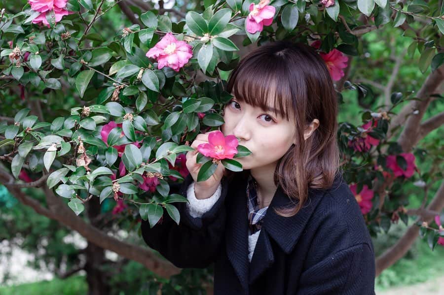 尾林美月さんのインスタグラム写真 - (尾林美月Instagram)「. Vivid🌺🖤 . この花、サザンカって言うらしい…！知ってましたか？ 落ちている花びらがハート型でかわいいっていう、 ちょっと幸せな発見をしました👀」4月16日 17時48分 - mizuki_obayashi