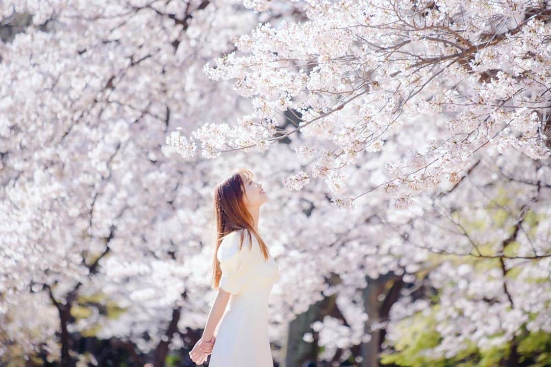 のインスタグラム：「🌸🌸 . Photo by Taku Watanabe . ． ． #桜 #stayhome #stayathome」